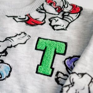 Nickelodeon Teenage Mutant Ninja Turtles Sweatshirt 12M Gray Graphic NWOT